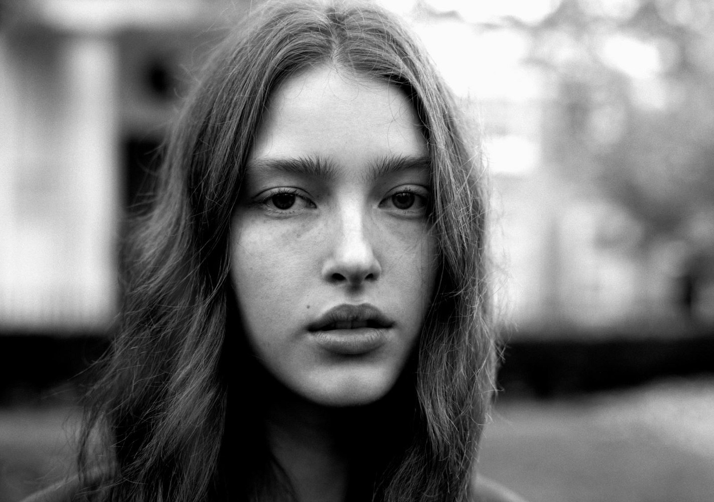 JADI WEGENER